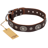 Leder Hundehalsband "Extra Pizzazz" FDT Artisan in Braun, schick Leder Hundehalsband "Extra Pizzazz" FDT Artisan in Braun, schick